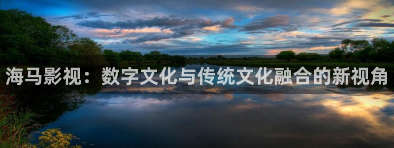 日韩私人影院在线观看：海马影视：数字文化与传统文化融合的新视角