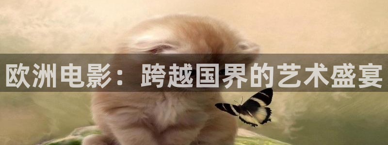 橘子私人影院：欧洲电影：跨越国界的艺术盛宴