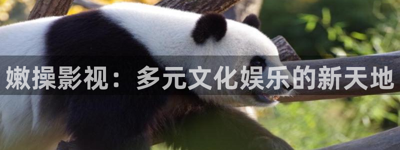 中山哪里有私人影院：嫩操影视：多元文化娱乐的新天地