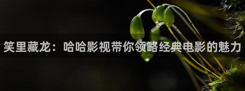 4480yy私人影院zxk：笑里藏龙：哈哈影视带你领略经典电影的魅力