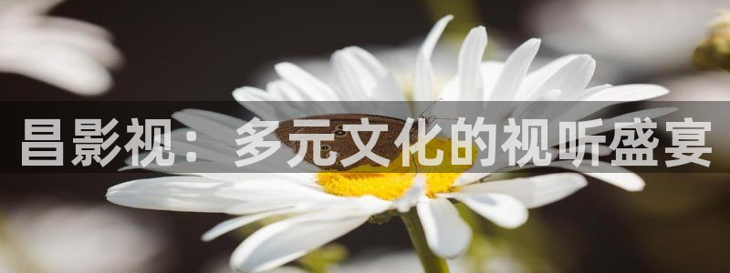私人家庭影院适合免费看的电影：昌影视：多元文化的视听盛宴