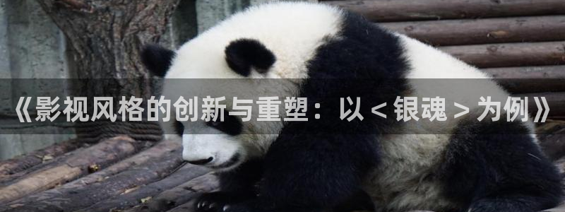 私人影院的玩法：《影视风格的创新与重塑：以＜银魂＞为例》