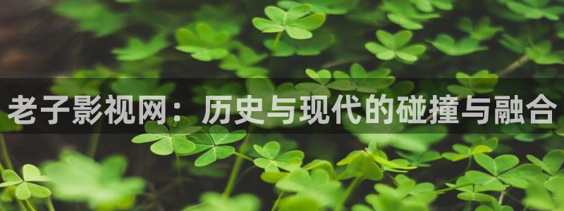 熊二私人影院：老子影视网：历史与现代的碰撞与融合