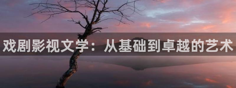 宝鸡私人影院：戏剧影视文学：从基础到卓越的艺术